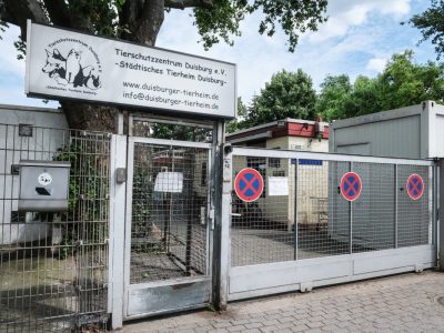 Das Tierheim Duisburg hat eine dramatische Nachricht verkündet.