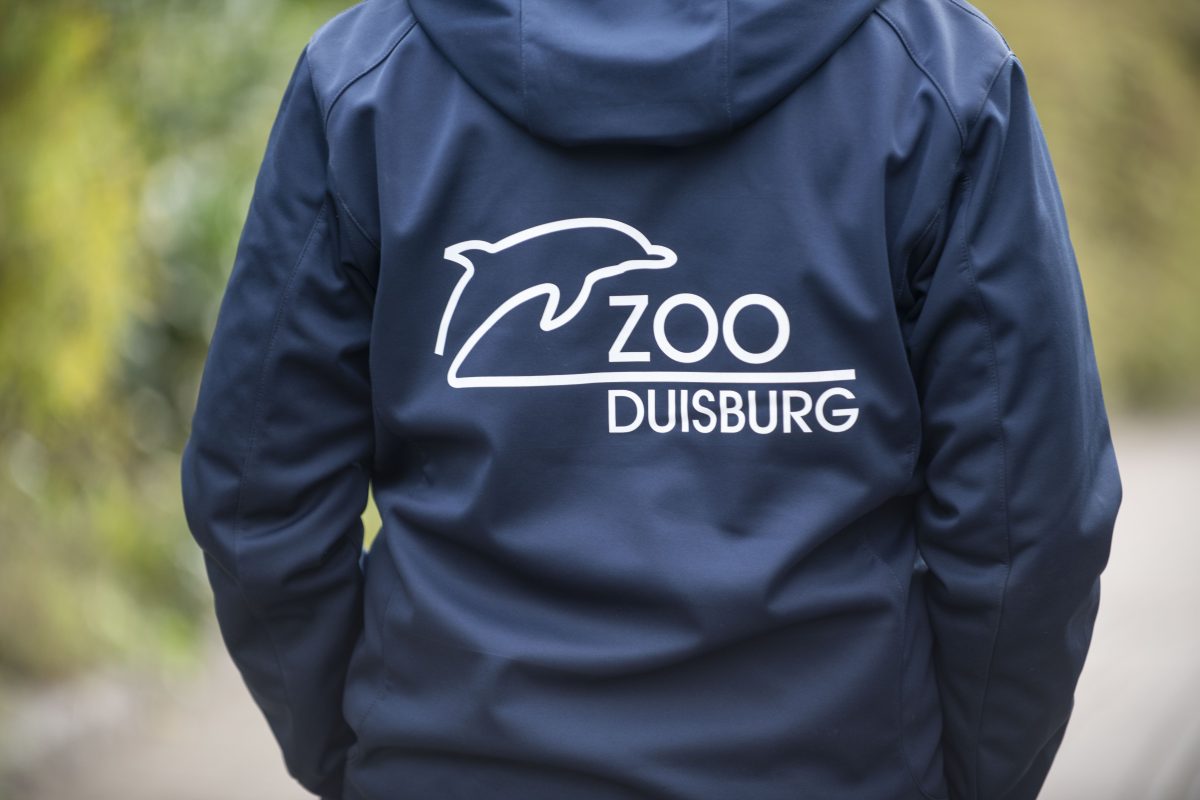 Der Zoo Duisburg erhitzt die Gemüter.