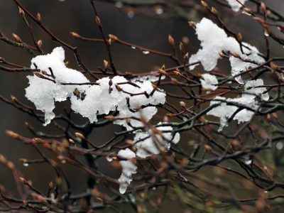 Wetter NRW