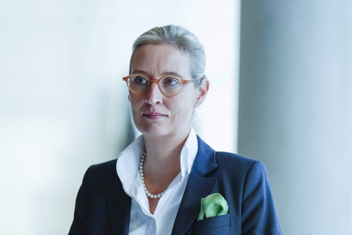 Der Molkerei-Mogul Theo MÃ¼ller gesteht erstmals ein Treffen mit AfD-Chefin Alice Weidel in einem schicken Cannes-Restaurant. Es sei nicht das erste gewesen.