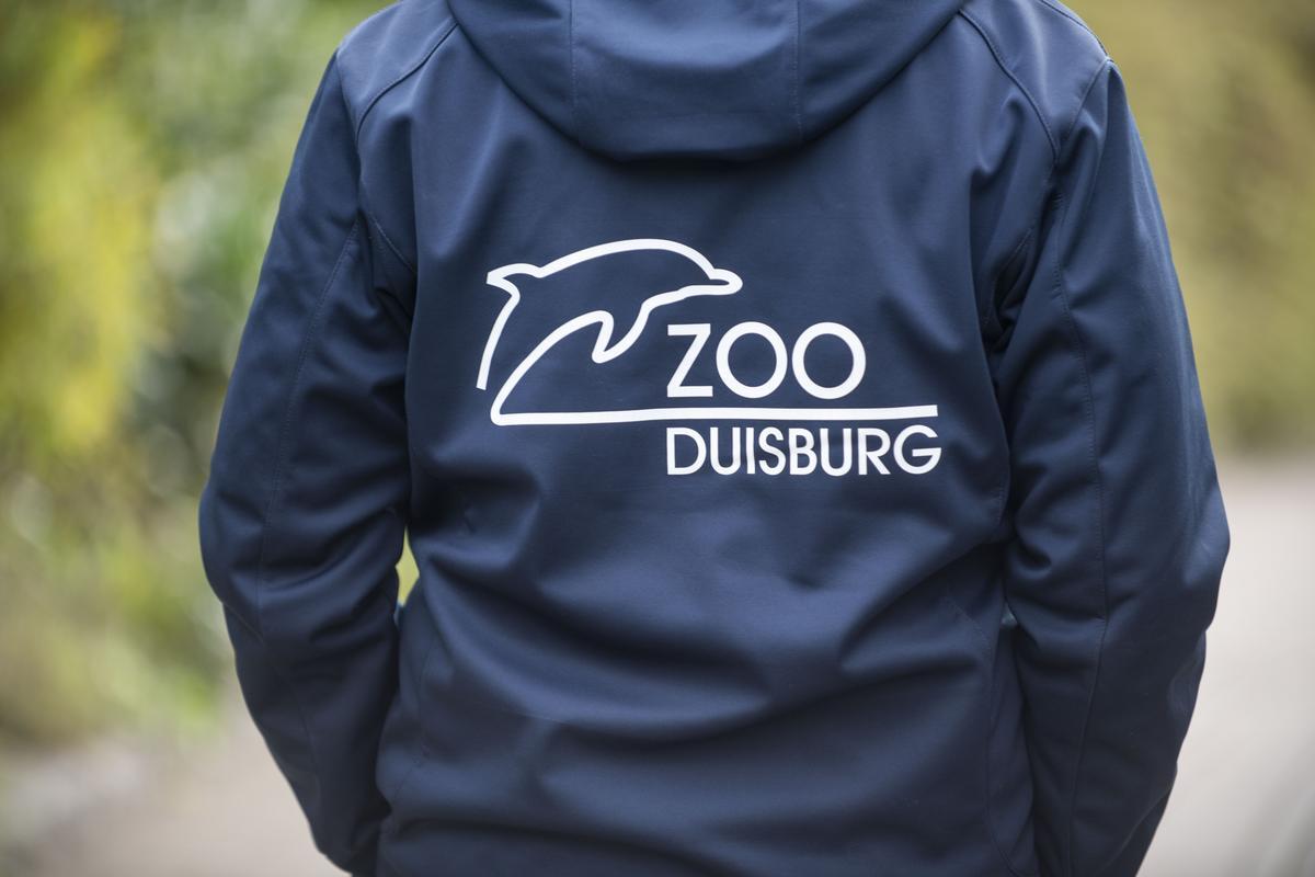 Zoo Duisburg stellt tierischen Rekord auf – „Akut vom Aussterben bedroht“