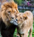 Zoo Duisburg
