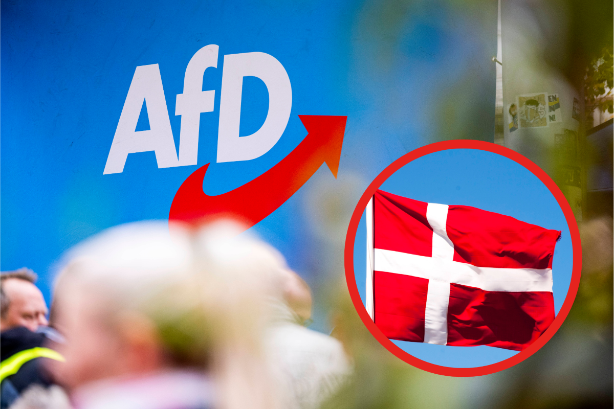 AfD: Kann das Dänen-Modell sie in Deutschland stoppen? 