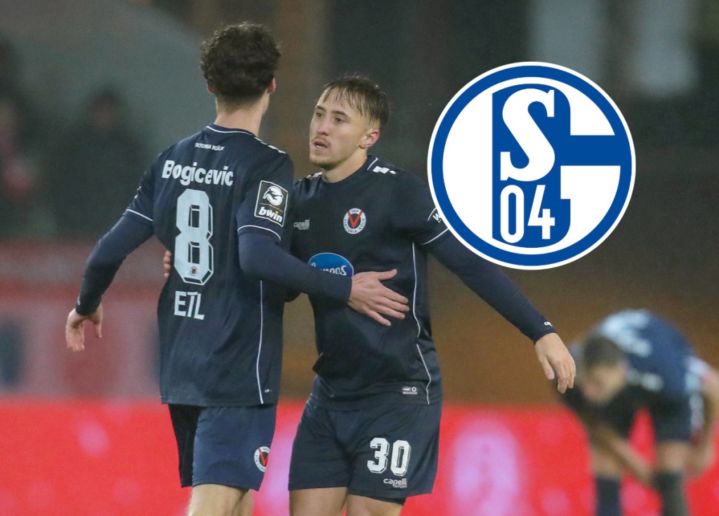 FC Schalke 04 Marseiler Bogicevic