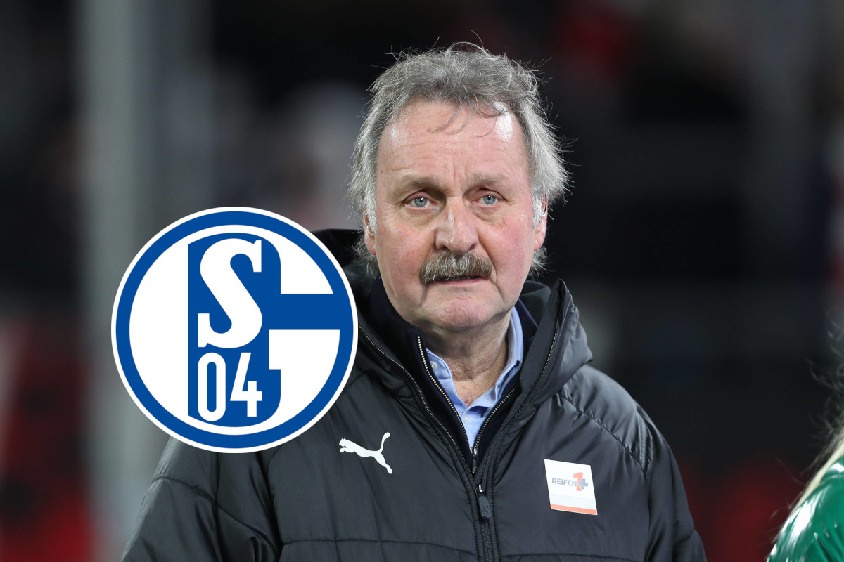 FC Schalke 04 Neururer