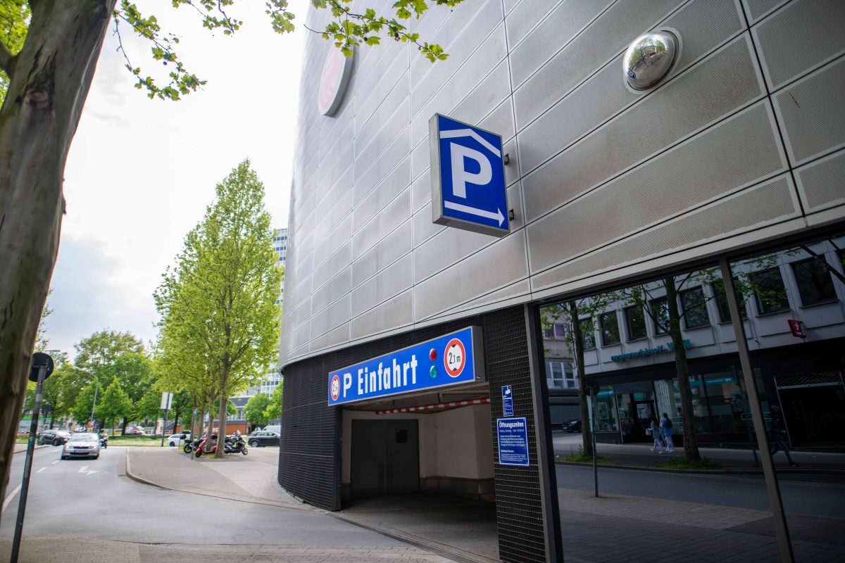 Pinguin räumt Problem-Parkplatz im Nordviertel auf