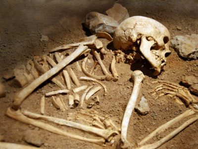 Forscher fanden in Schweden ein besonderes Skelett (Symbolbild).