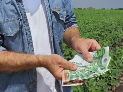 Ärger über Subventionen: Einige Bauern haben andere Perspektive.