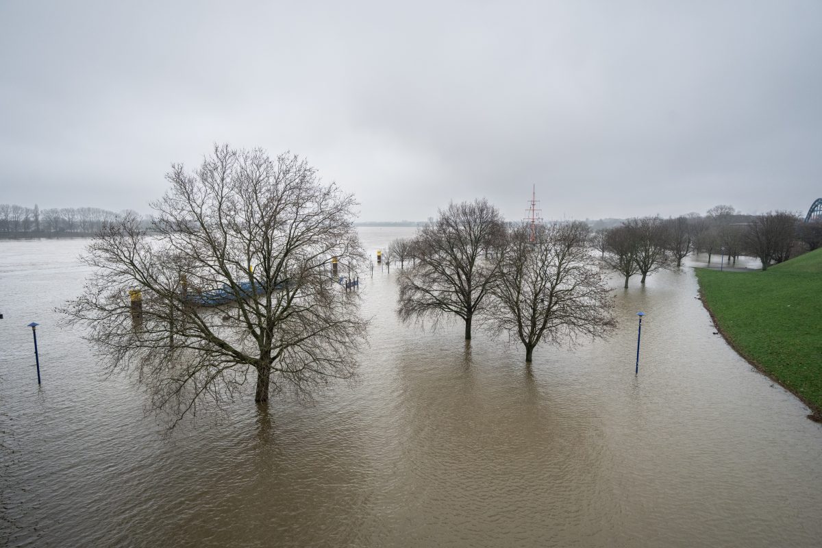 Hochwasser in Duisburg: Stadt bestraft schaulustige Touristen