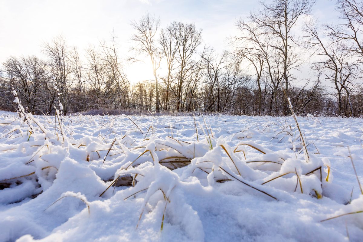 Wetter in NRW: Irre Wende kommt.