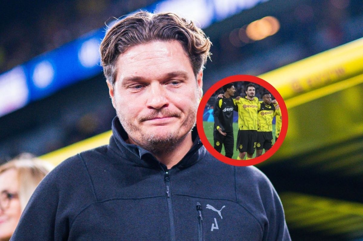Borussia Dortmund BVB Haller