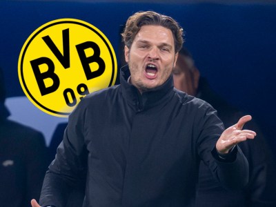 Edin Terzic gerät bei Borussia Dortmund in die Schusslinie.