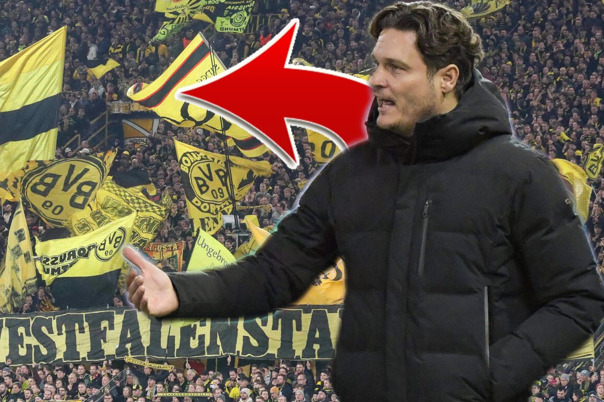 Edin Terzic wendet sich an die Fans von Borussia Dortmund.