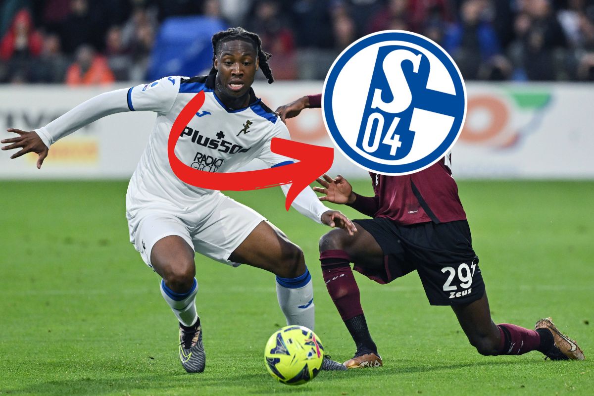 FC Schalke 04 S04 Soppy