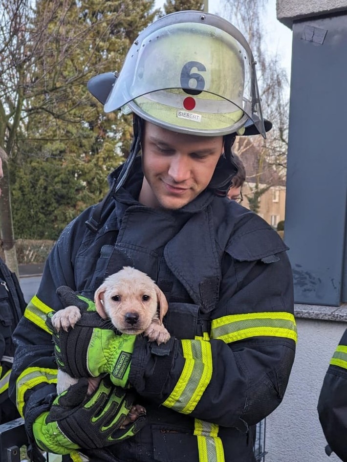 Die Feuerwehr Dortmund konnte den Hund aus dem Schacht befreien.