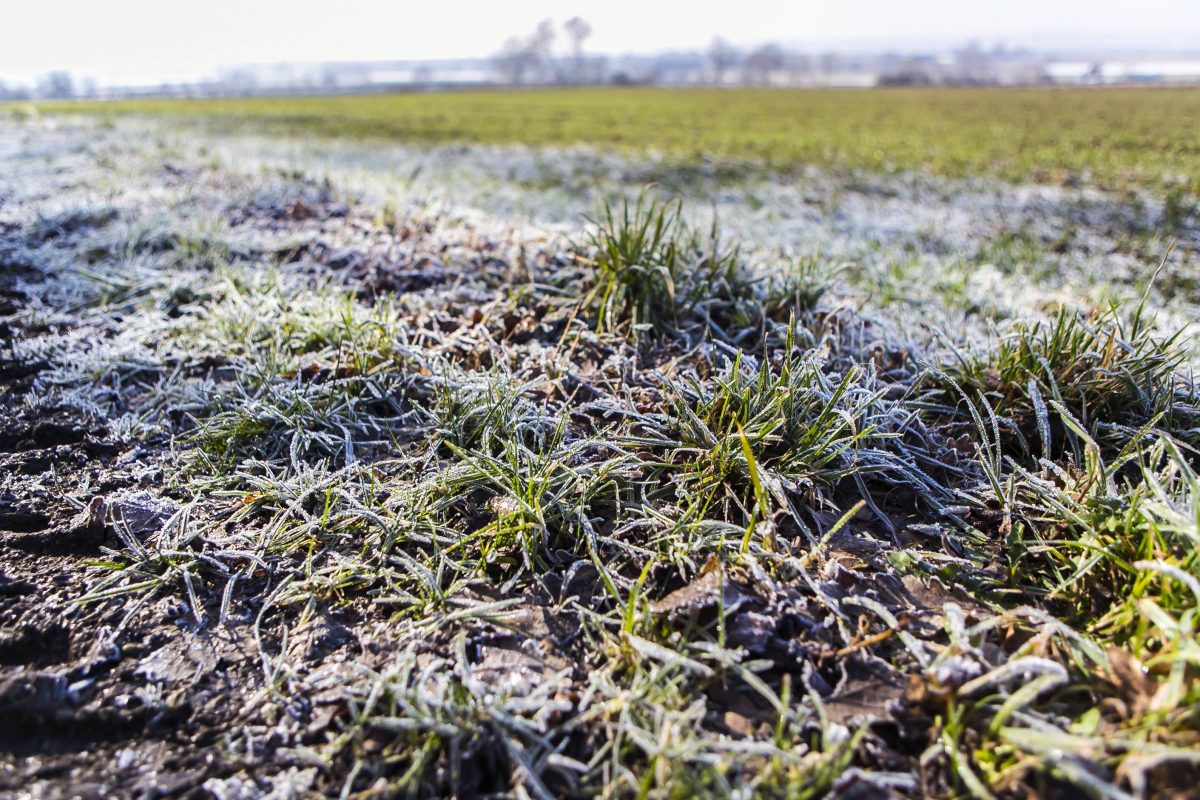 Das Wetter in NRW verspricht im Februar noch einen Umschwung.