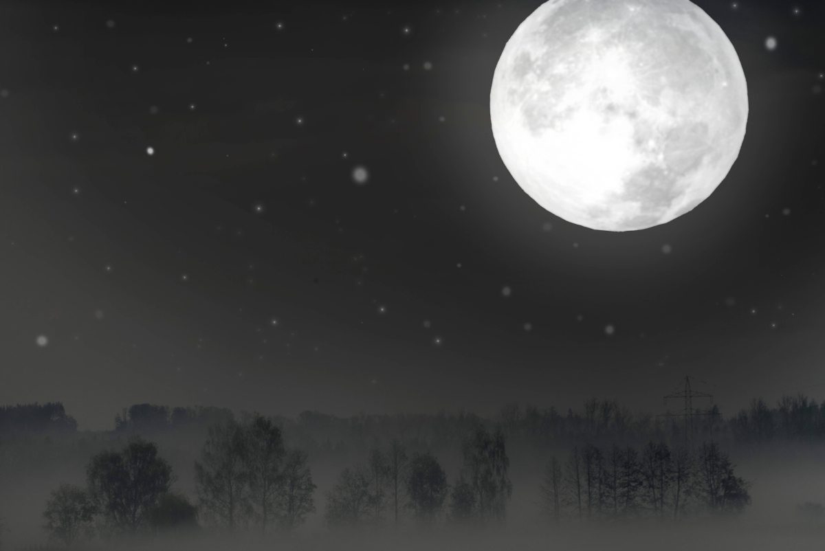 Horoskop im Februar: Darum bietet der Jungfrau-Mond ALLEN eine besondere Chance