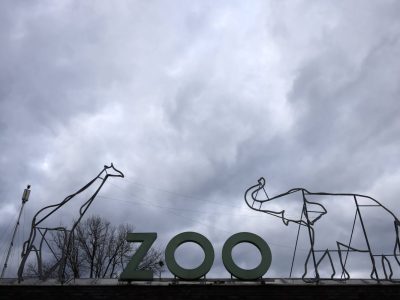 Zoo Köln: Mitarbeiter kämpfen mit Virus. Zoo wieder geöffnet.