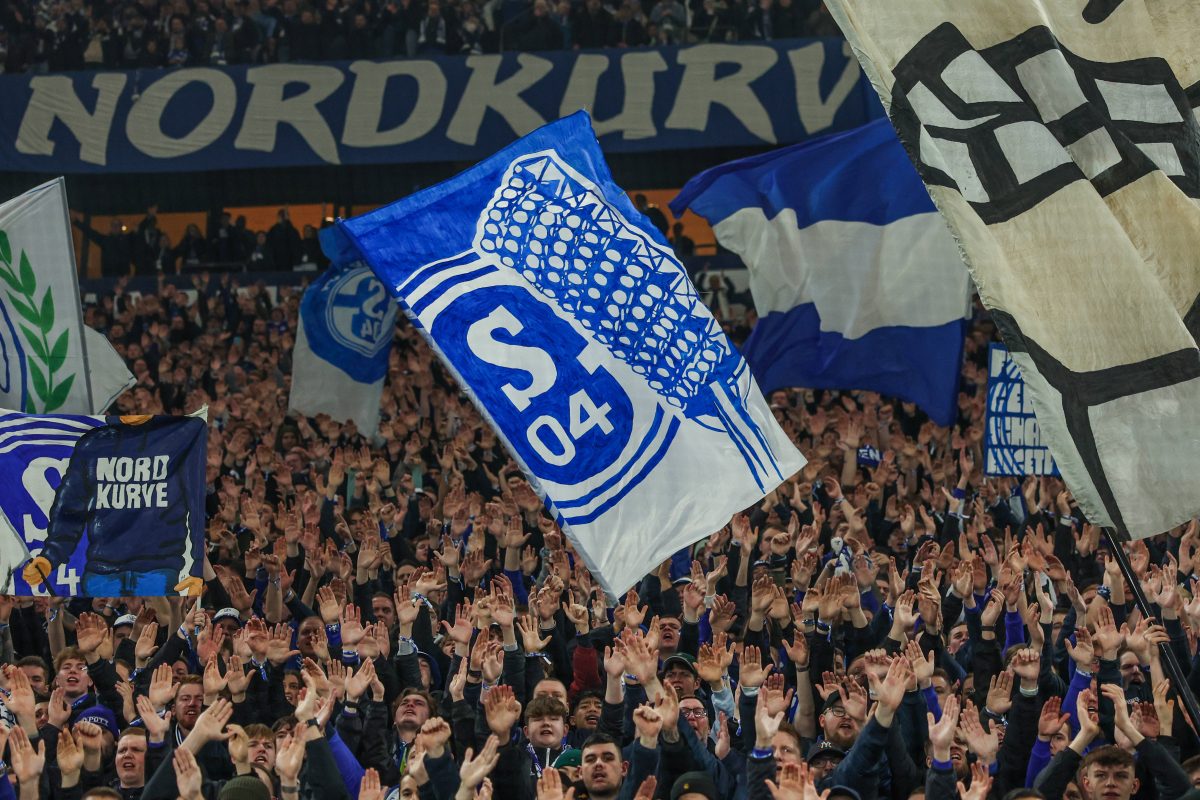 Gelsenkirchen gets the brunt in America – Schalke provide the perfect counterattack