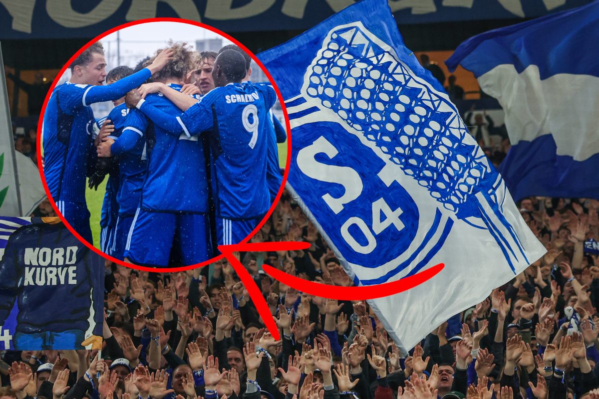 Auf Schalke wundern sich zahlreiche Fans.