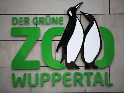 Im Zoo Wuppertal kam es zu einem traurigen Abschied.