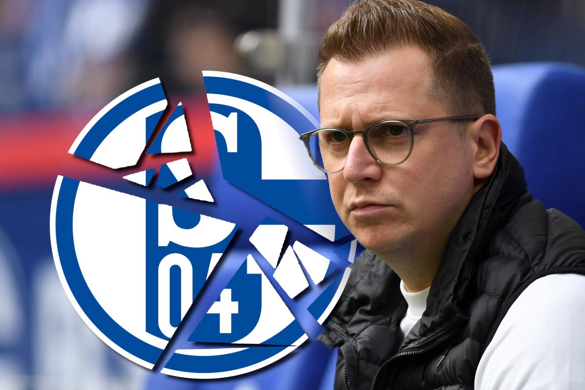 Andre Hechelmann scheidet beim FC Schalke 04 aus.