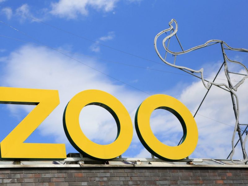 Zoo in NRW: Besucher kommen beim Blick ins Gehege die Tränen – „Endlich“