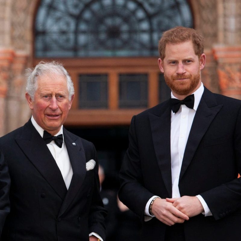 Geheimes Treffen enthüllt: König Charles III. und Prinz Harry – „Erster Schritt zur Versöhnung“