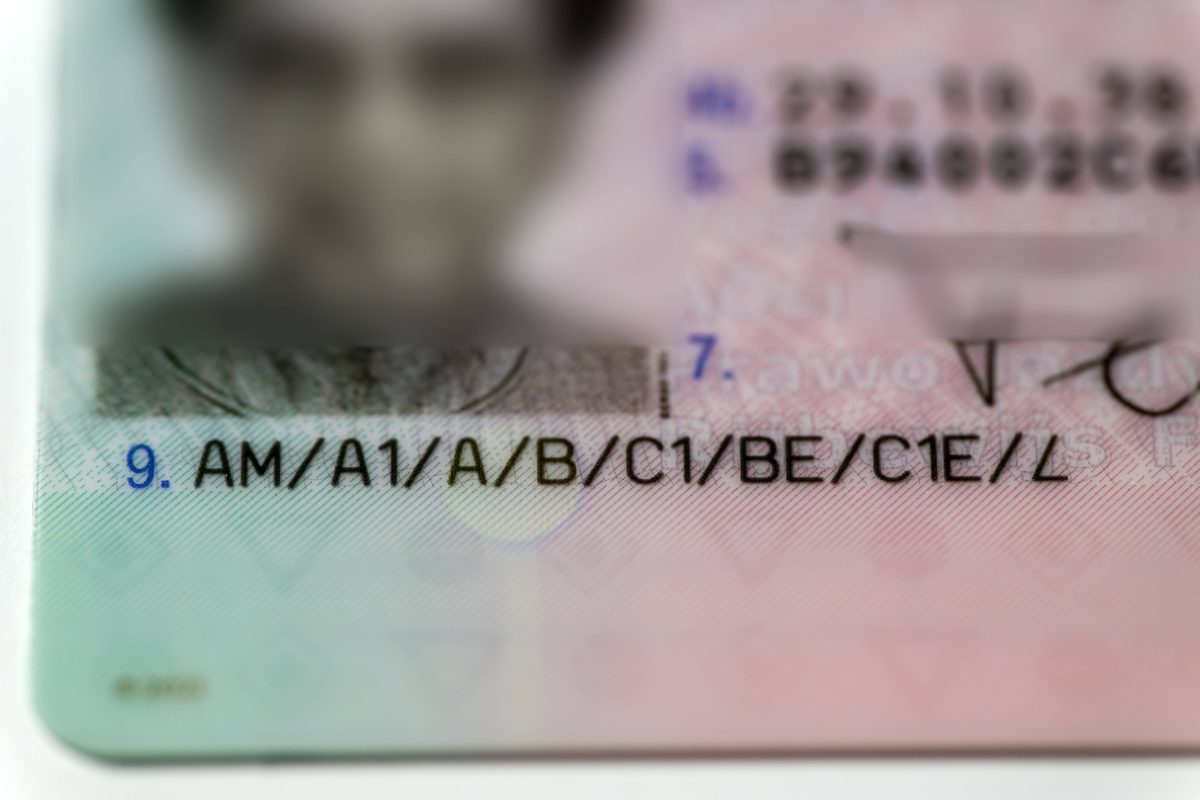 Auf dem Bild ist der Teil eines Kartenführerscheins zu sehen. Das Führerscheinbild ist verpixelt. Darunter stehen die Führerscheinklassen AM, A1,A, B, BE, C1, C1E und L