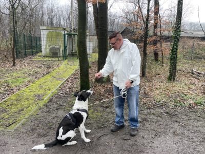 Duisburg: Mark Wayne Foster betreibt einen Haustier-Betreuungsservice mit seiner Frau Alexandra.