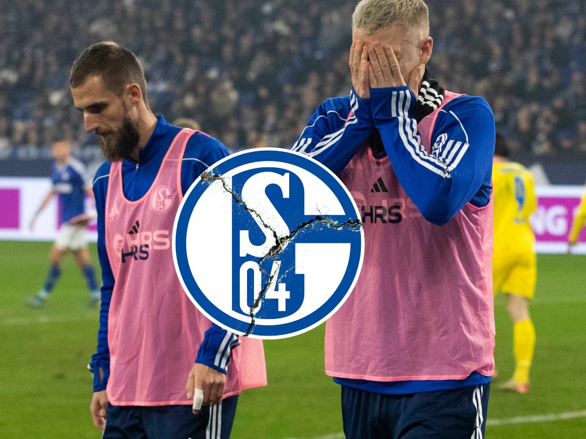 Schalke Baumgartl Drexler