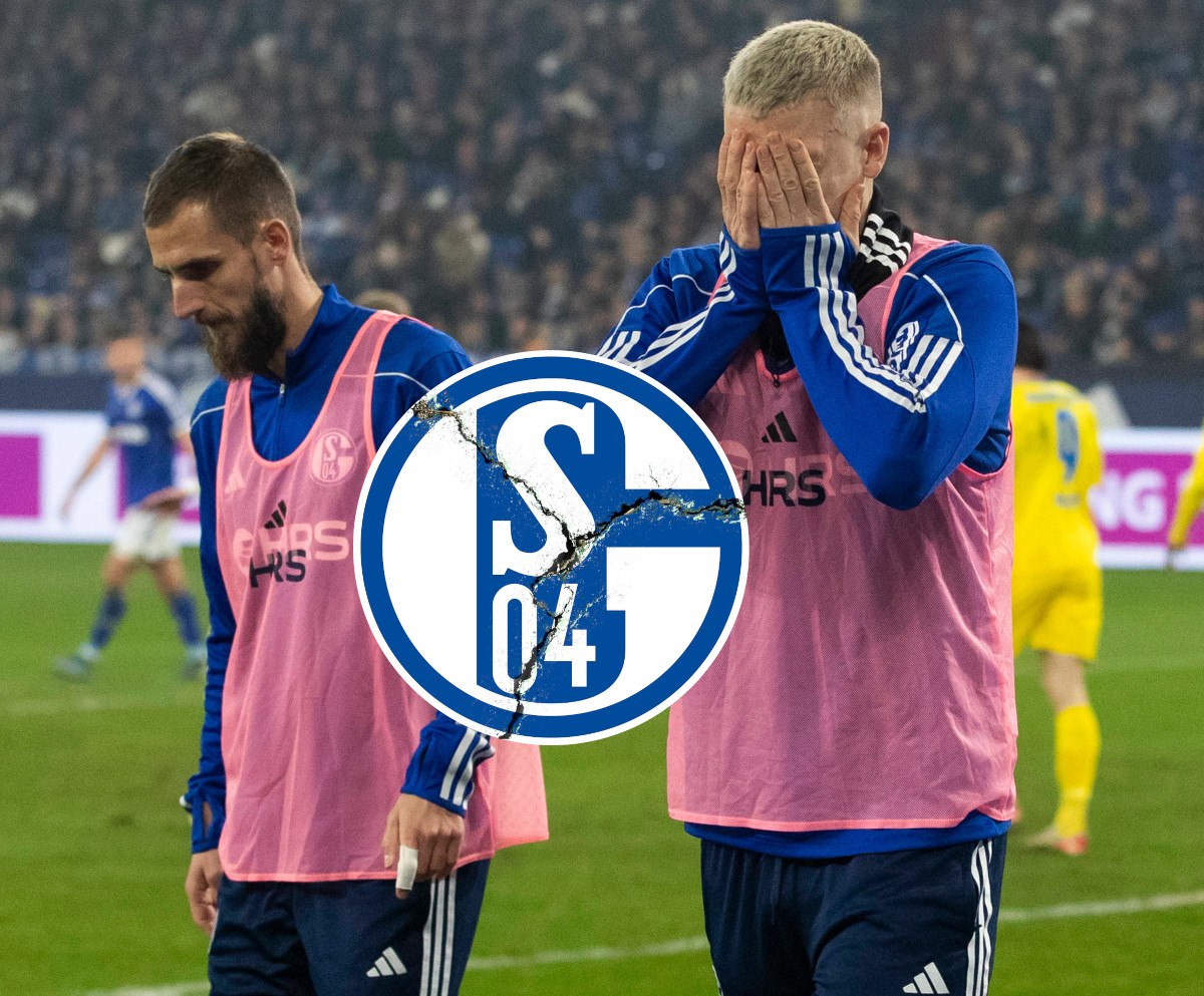 Schalke Baumgartl Drexler
