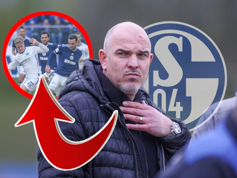 FC Schalke 04: Brisante Details über Schober-Aus– war ER der Grund?