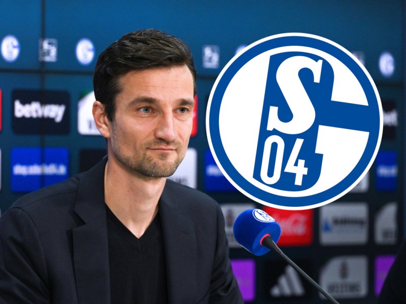 FC Schalke 04: Schober weg, Nachfolger schon da – S04 macht es offiziell