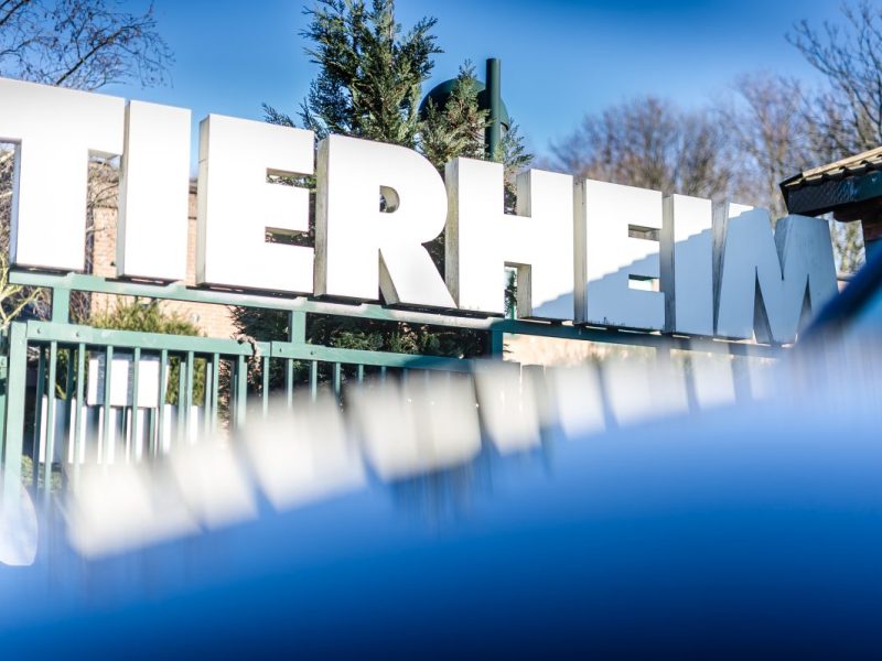 Tierheim Bochum öffnet Post 13 Jahre nach Vermittlung – Pfleger können Tränen nicht zurückhalten