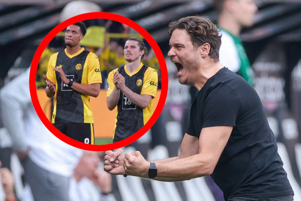 Da geht Edin Terzic richtig aus sich raus! Borussia Dortmund jubelt.