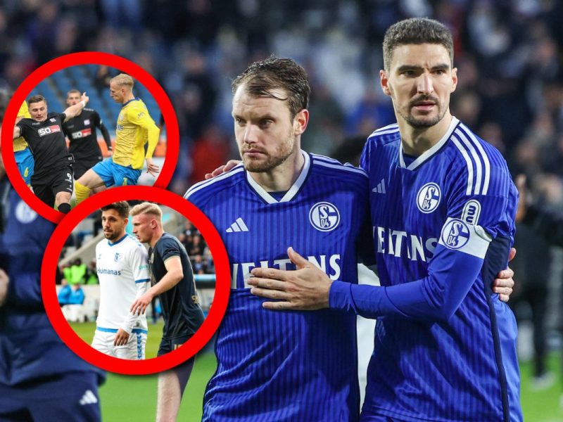 FC Schalke 04: Völlig irre – HIER schaut S04 jetzt ganz genau hin