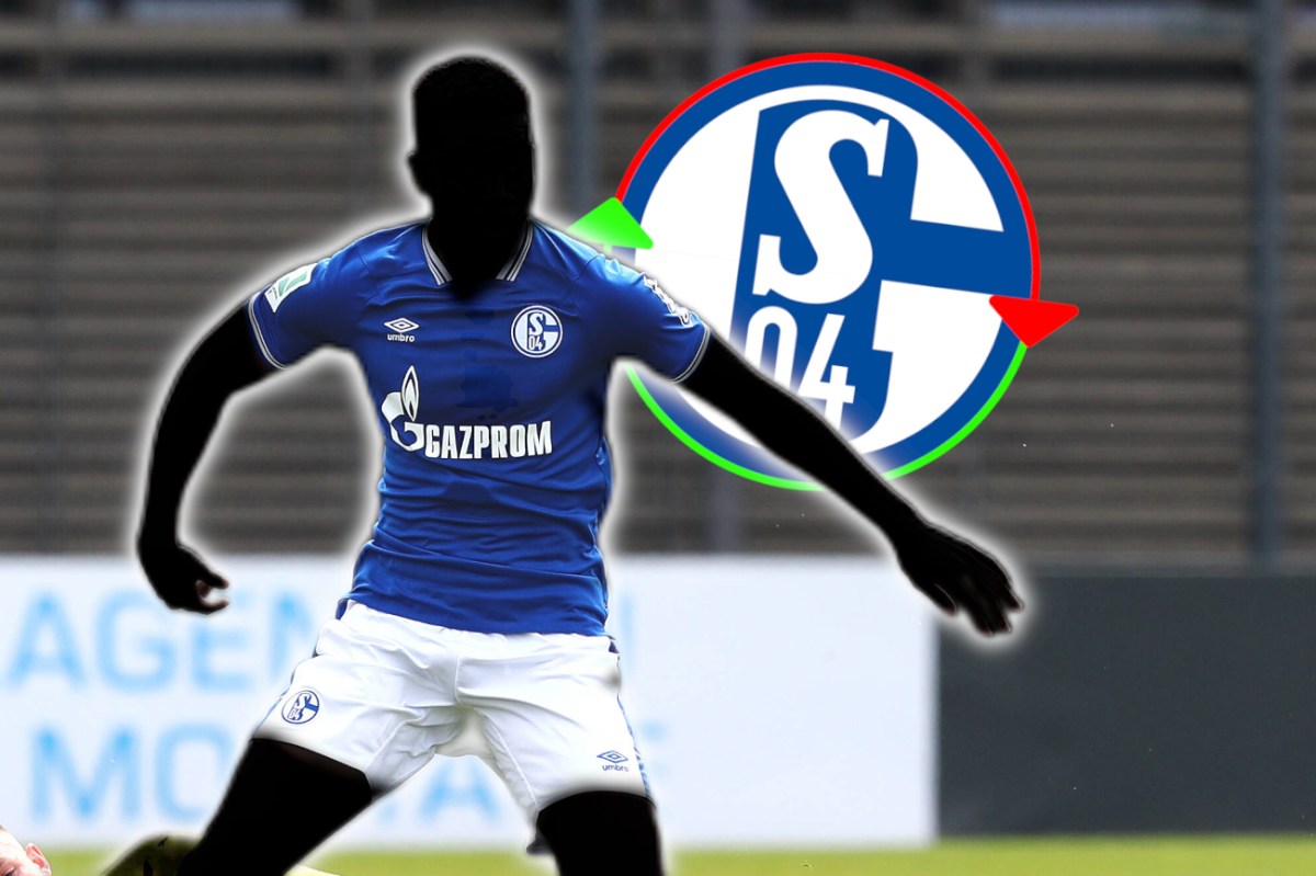 Schalke - Figure 1