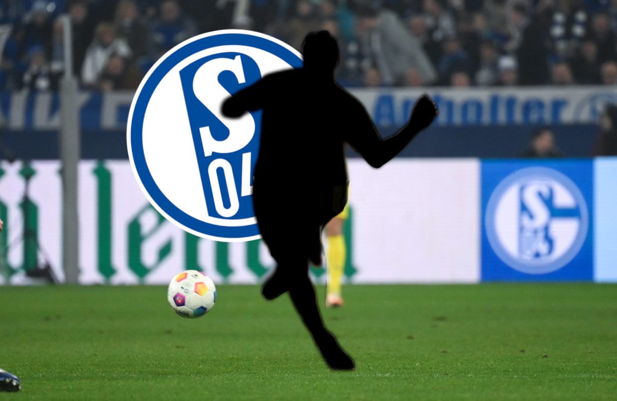 Beim FC Schalke 04 steht Anton Donkor hoch im Kurs.