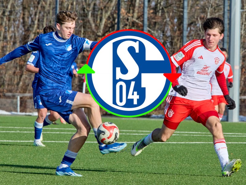 FC Schalke 04: Talent-Coup? S04 wildert offenbar bei der Konkurrenz