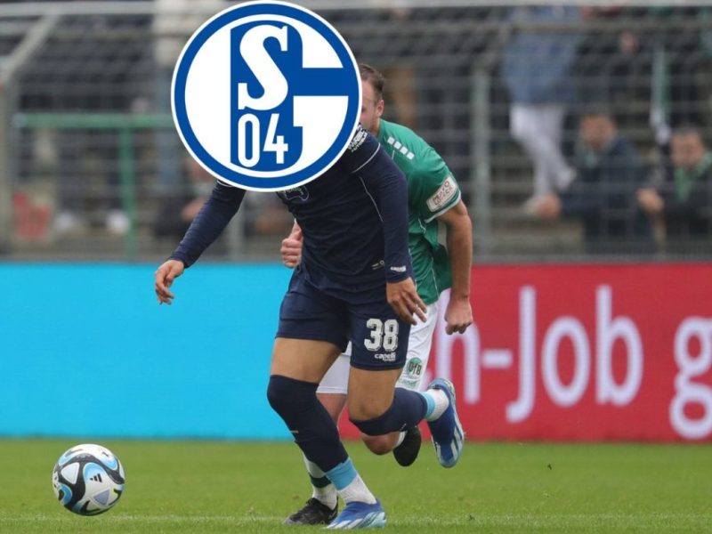 FC Schalke 04: Jetzt ist es offiziell! S04 verkündet Neuzugang