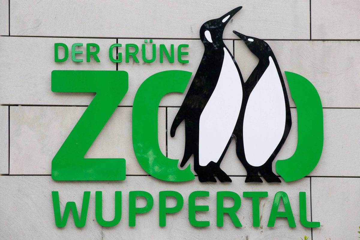 Zoo Wuppertal: Besucher trauern um Jungtier – plötzlich die nächste Hiobsbotschaft