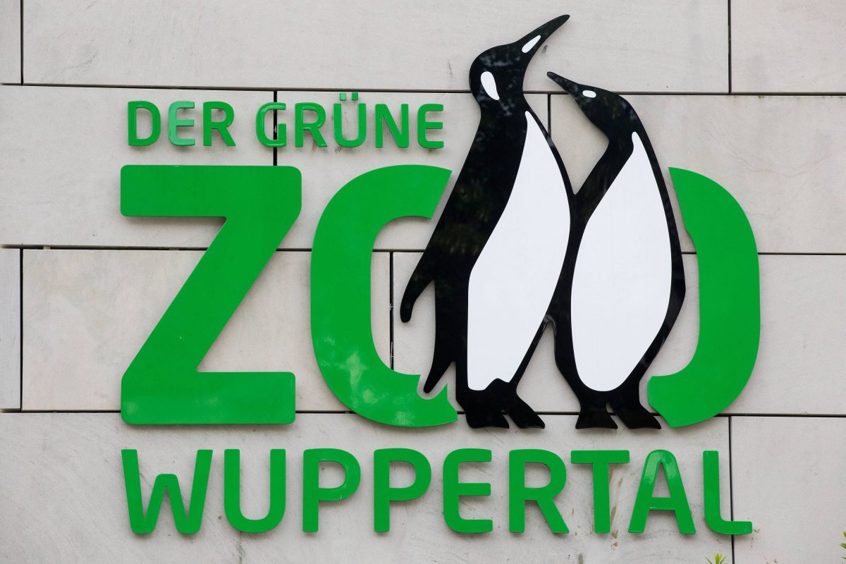 Zoo in NRW Wuppertal