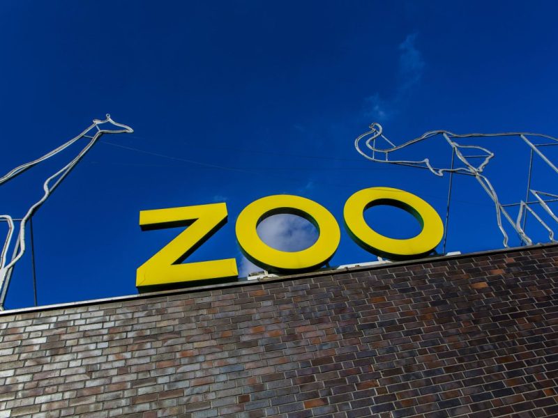 +F+ Zoo in NRW macht es offiziell – Besucher werden ganz emotional
