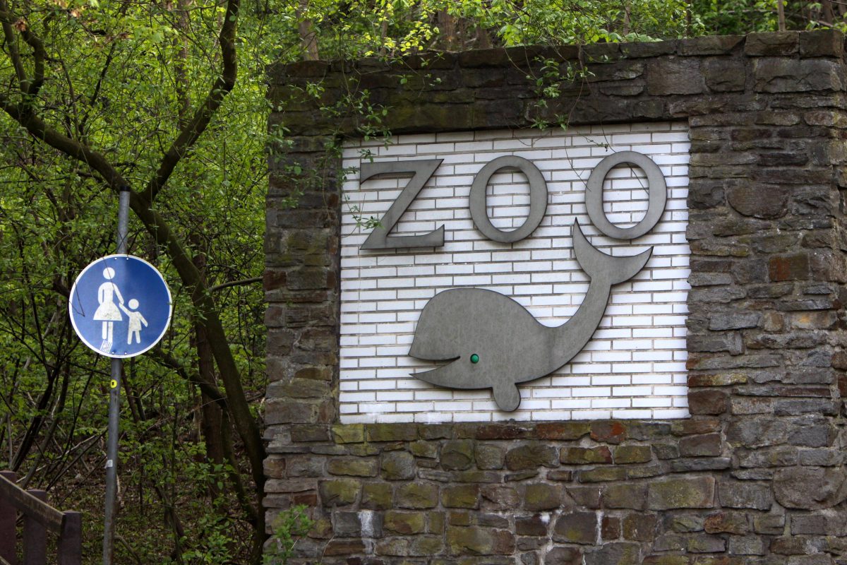 Der Zoo Duisburg hat Neuigkeiten.