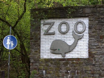 Der Zoo Duisburg hat Neuigkeiten.