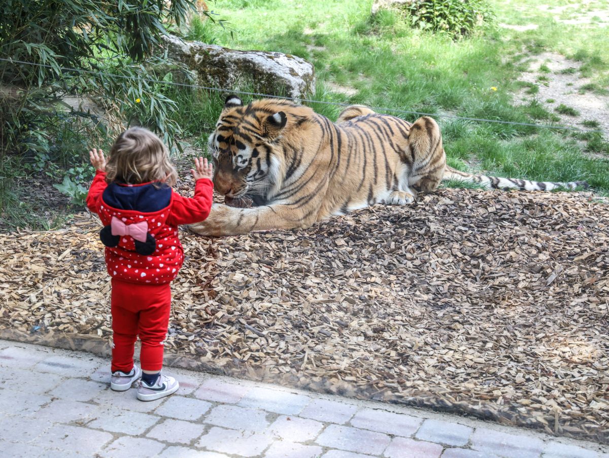 Zoo in NRW mit besonderer Aktion.