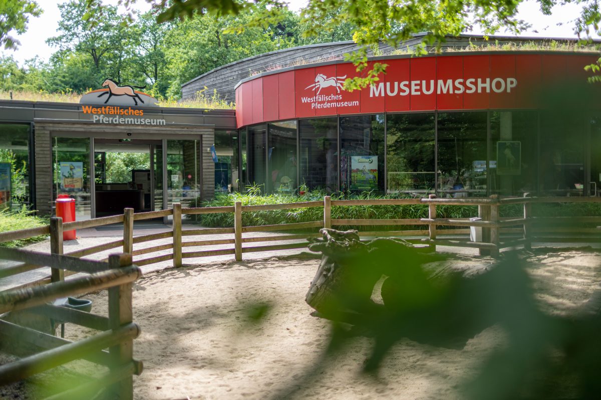 Dieser Anblick im NRW-Zoo mag für den ein oder anderen Besucher völlig irre sein.