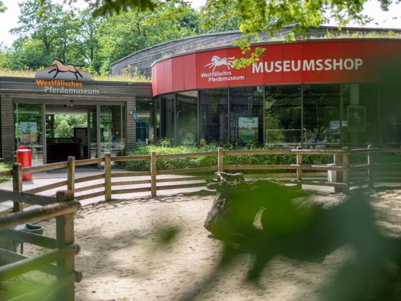 Irrer Anblick in NRW-Zoo – als Besucher diese Tiere sehen, trauen sie ihren Augen kaum