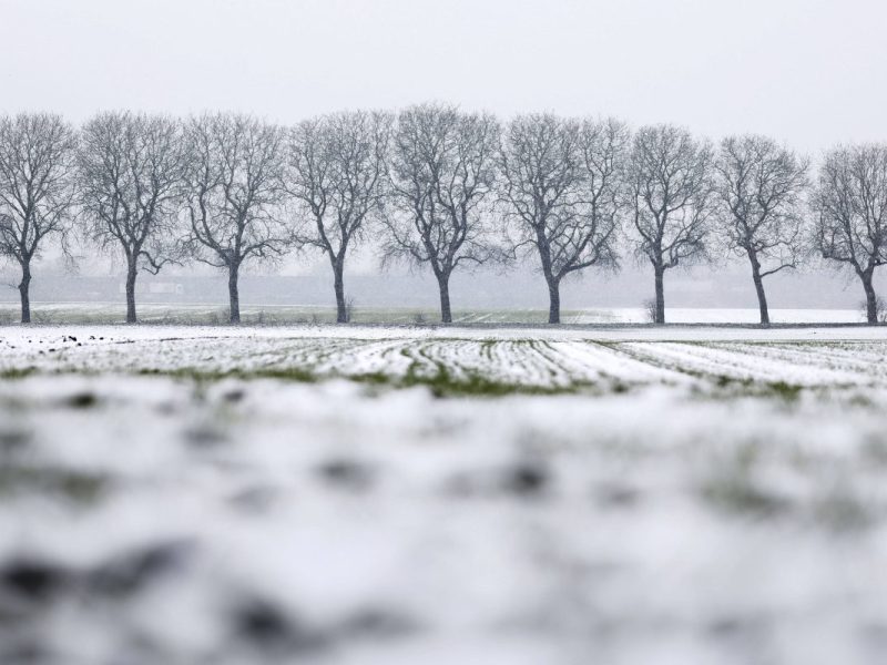 Wetter in NRW mit voller Breitseite zu Eisheiligen? Experte mit Schock-Prognose